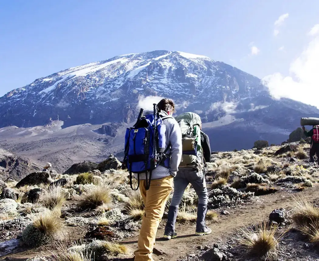 Rongai Route on Kilimanjaro
