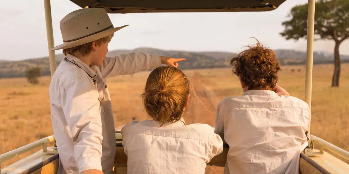 Kori guide pointing out wildlife to guests from an open safari vehicle